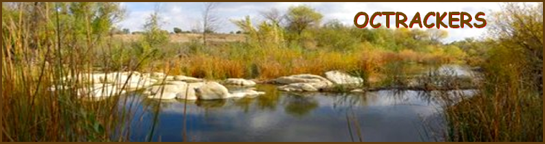 MAIN BEAVER POND ON TEMECULA CREEK