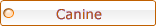 CLICK TO LEARN HOW TO ANALYZE THE CANINE TRACK
