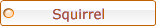 CLICK TO LEARN HOW TO ANALYZE THE SQUIRREL TRACK