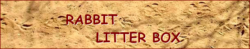 RABBIT  LITTER BOX