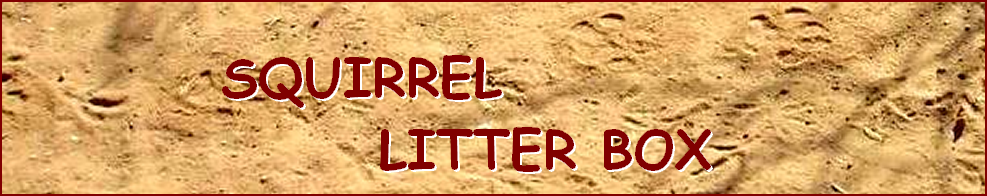 SQUIRREL  LITTER BOX