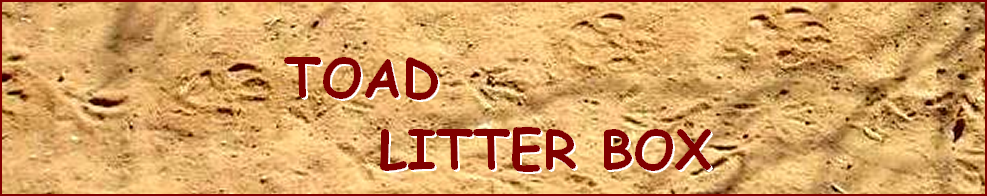 TOAD  LITTER BOX