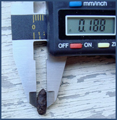 TYPICAL SIZE OF THIS SCAT