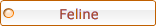 CLICK TO LEARN HOW TO ANALYZE THE FELINE TRACK