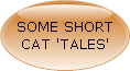 READ SOME SHORT CAT 'TALES' HERE