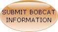 SUBMIT BOBCAT INFORMATION HERE