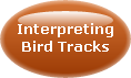 INTERPRETING BIRD TRACKS