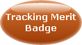 BOY SCOUTS OF AMERICA HISTORICAL MERIT BADGE
